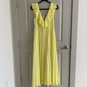 Zara Flutter Sleeve Maxi Dress